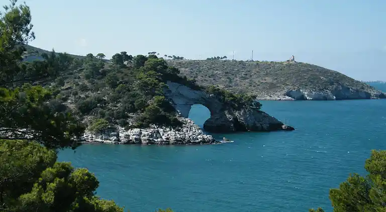 Urlaub in Vieste in charmanten Villen - 4