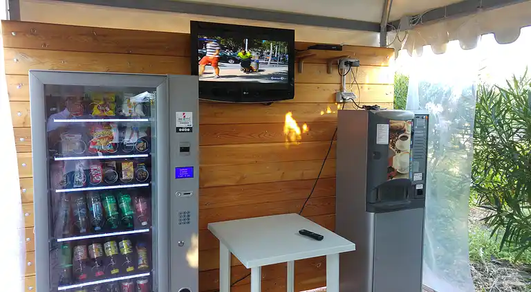 Urlaub in Vieste in charmanten Villen - 4