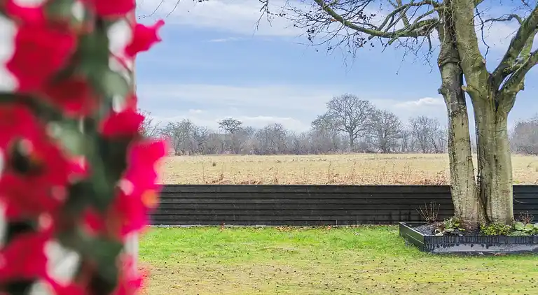 Dejligt sommerhus ved Limfjorden