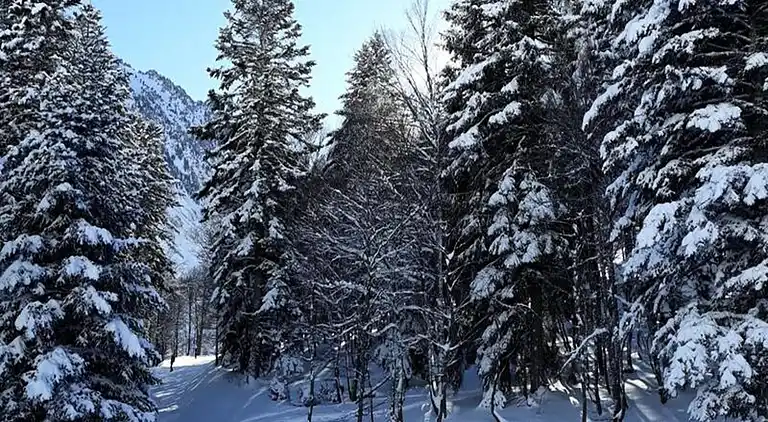 Ferienwohnung in Sers