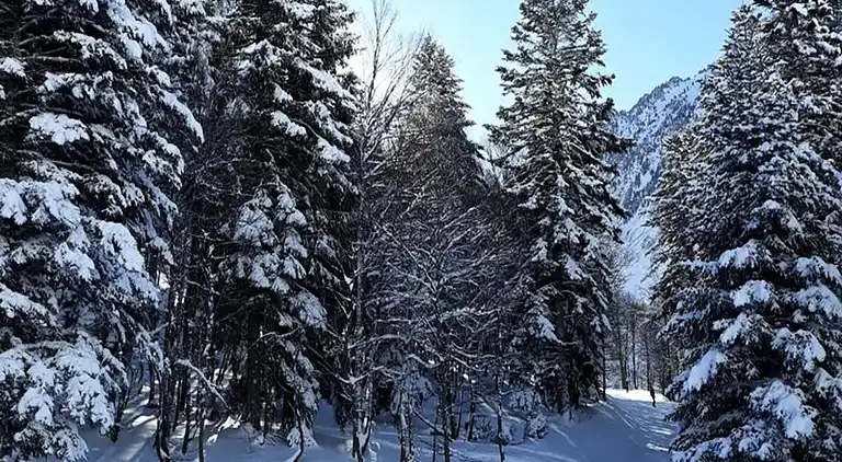 Ferienwohnung in Sers