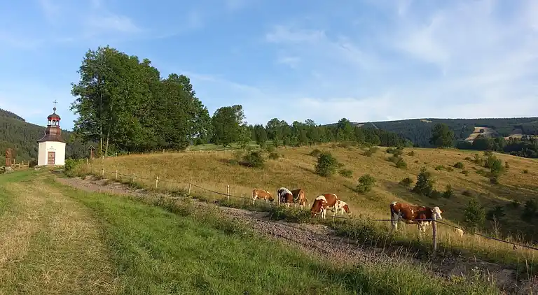 Ferielejlighed i Rokytno