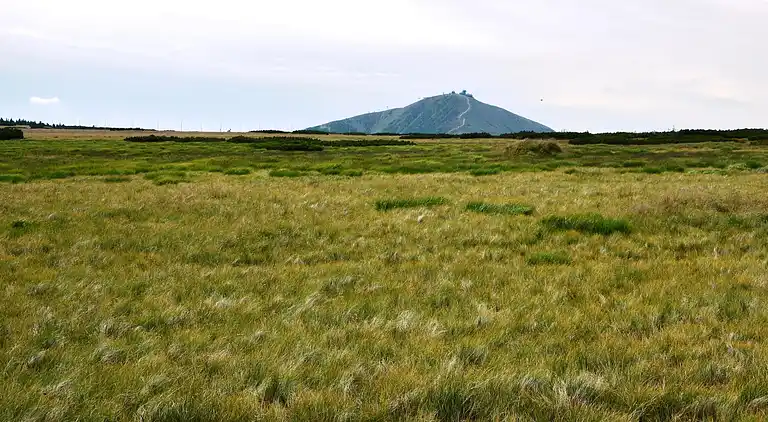 Ferielejlighed i Rokytno