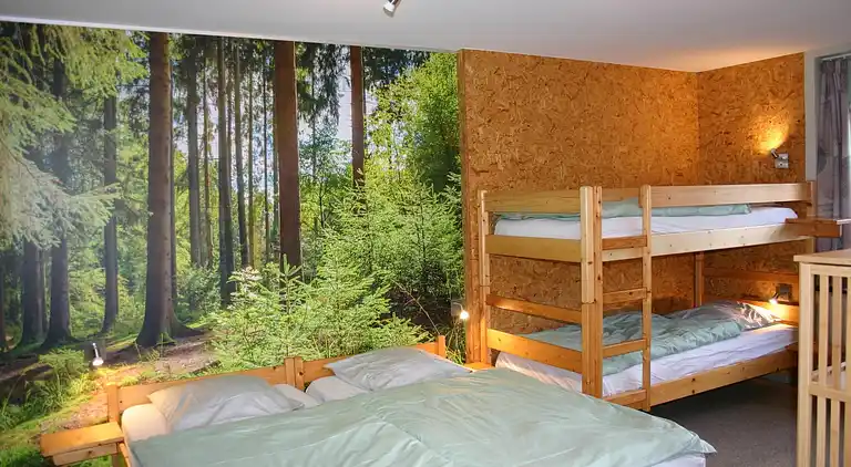 Holiday home in Petit-Thier