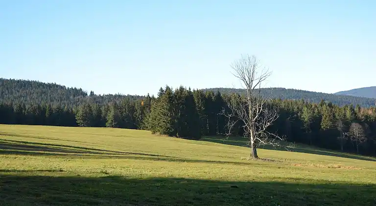 Sommerhus i Špičák