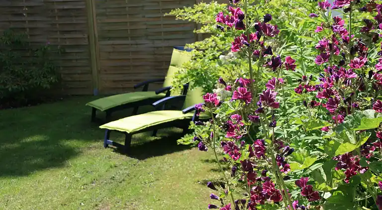 Apartment in Niederklutz