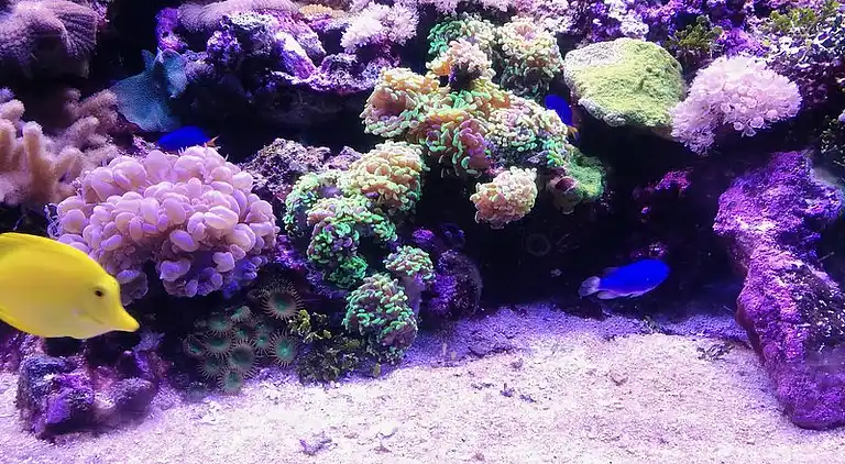 Gianni Cala Gonone Stutenhaus