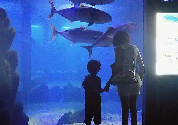 Gianni Cala Gonone Stutenhaus