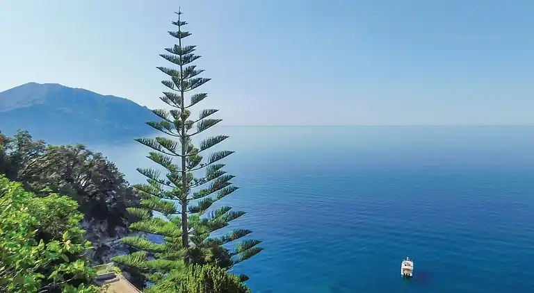 Casa vacanza Villa Pia con piscina Recco Camogli
