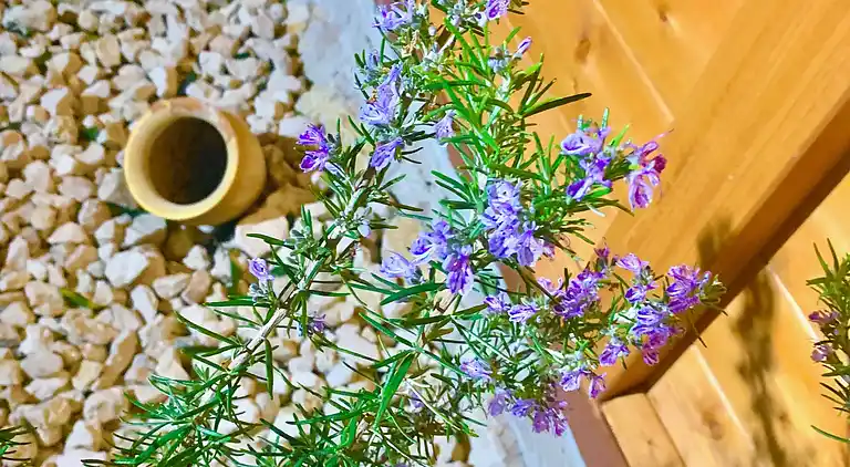 Sole Mare E Relax für Traumferien in Siculiana