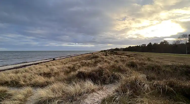Super hyggeligt sommerhus i Marielyst