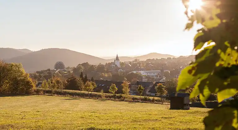 Ferielejlighed i Winterberg