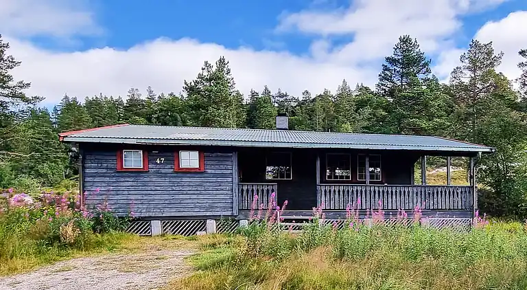 Semesterbostad i Bortelid