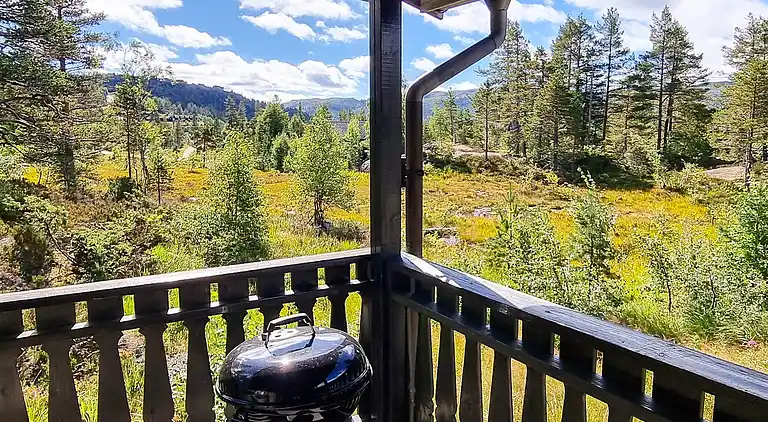 Semesterbostad i Bortelid