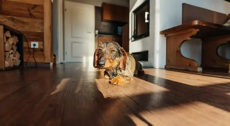 Sommerhus i Schierke