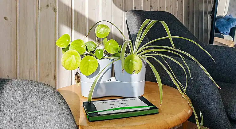 Sommerhus i Væggerløse