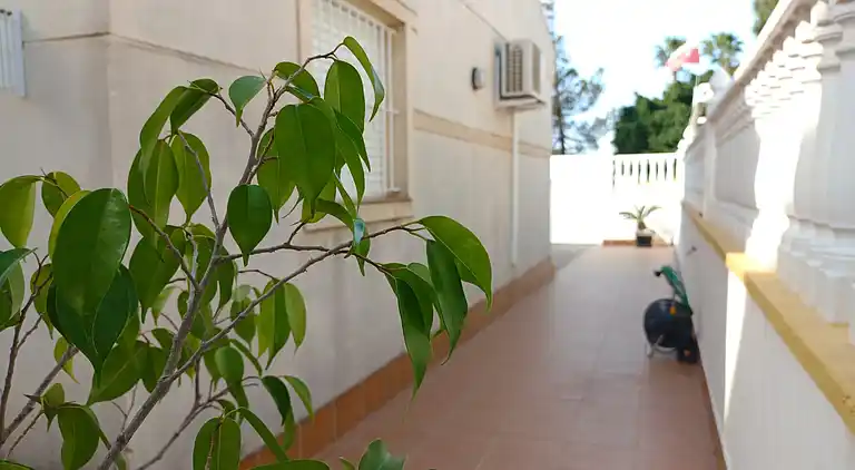 Bungalow in der Nähe des Strandes in Torrevieja, Aguas