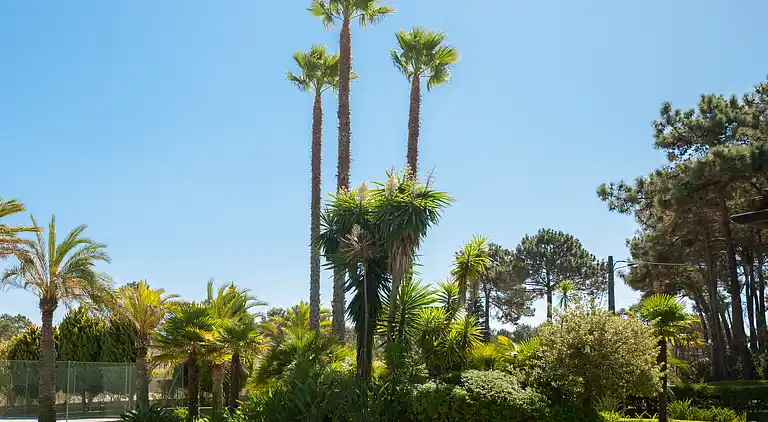 Magnifique Villa mit großem Pool, Tennisplatz und exotische