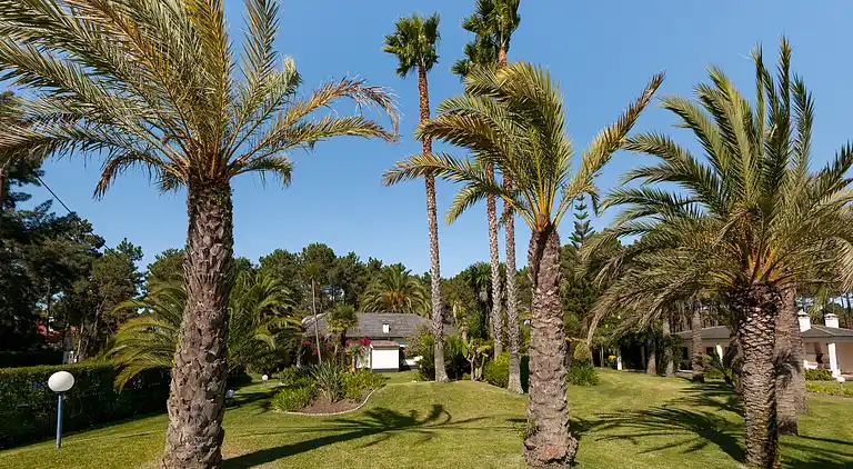 Magnifique Villa mit großem Pool, Tennisplatz und exotische
