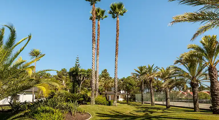 Magnifique Villa mit großem Pool, Tennisplatz und exotische