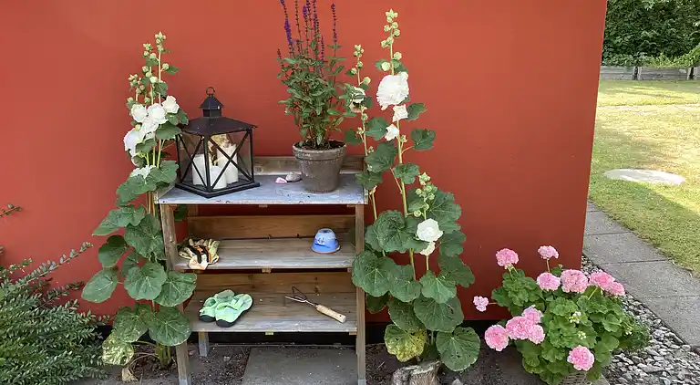 Rummeligt sommerhus tæt på naturoplevelser