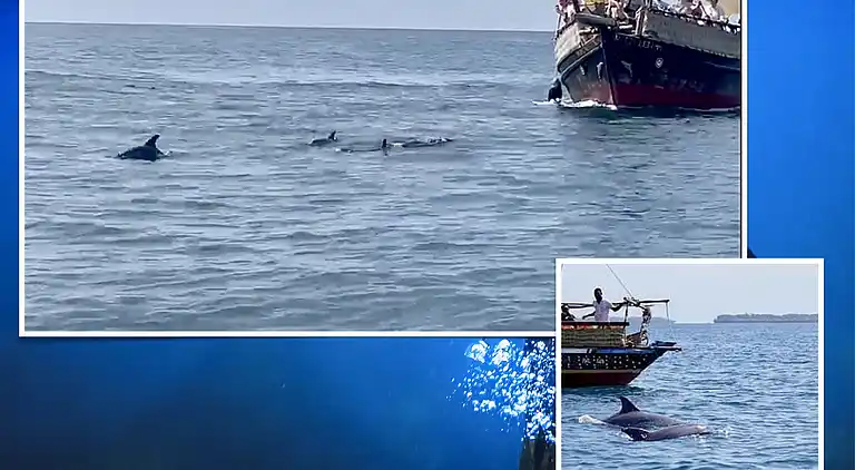 Wagawimbi Villa 560 m2, Vue à couper le souffle sur l'Océan