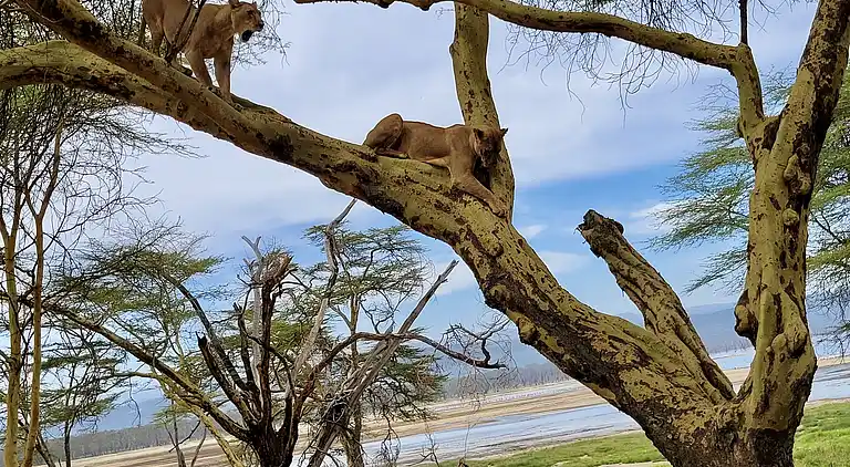 Wagawimbi Villa 560 m2, Vue à couper le souffle sur l'Océan
