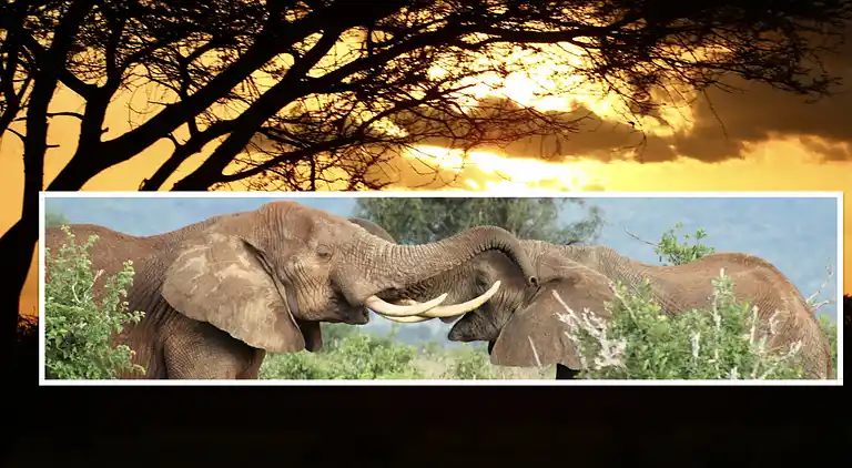 Wagawimbi Villa 560 m2, Vue à couper le souffle sur l'Océan