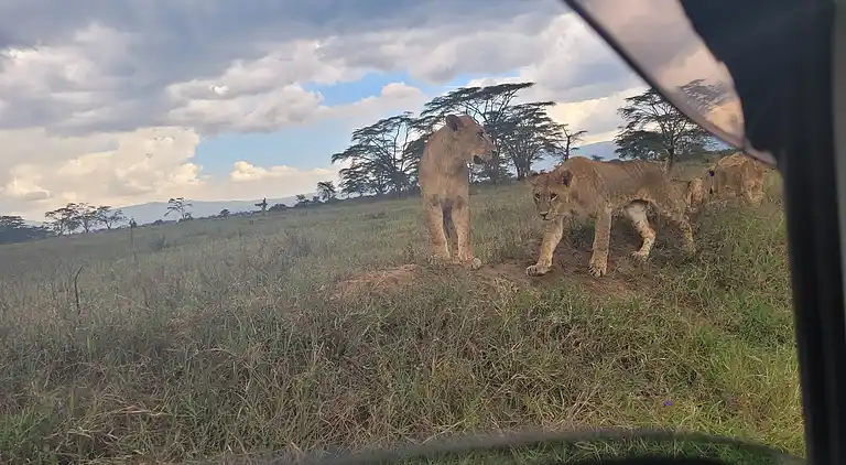 Wagawimbi Villa 560 m2, Vue à couper le souffle sur l'Océan