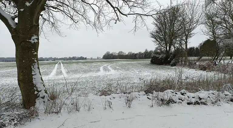 Wohnen Sie schön in naturschöner Umgebung