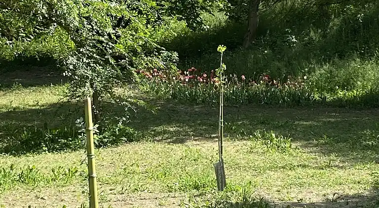 Appartamento Roero Cottage 3