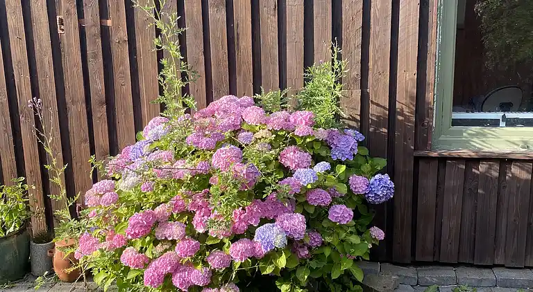 Dejligt romantisk fristed tæt ved en smuk strand