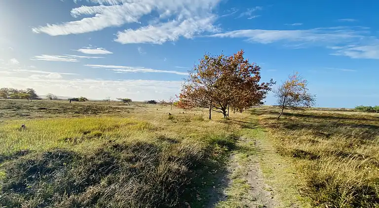 Authentic holiday home atmosphere
