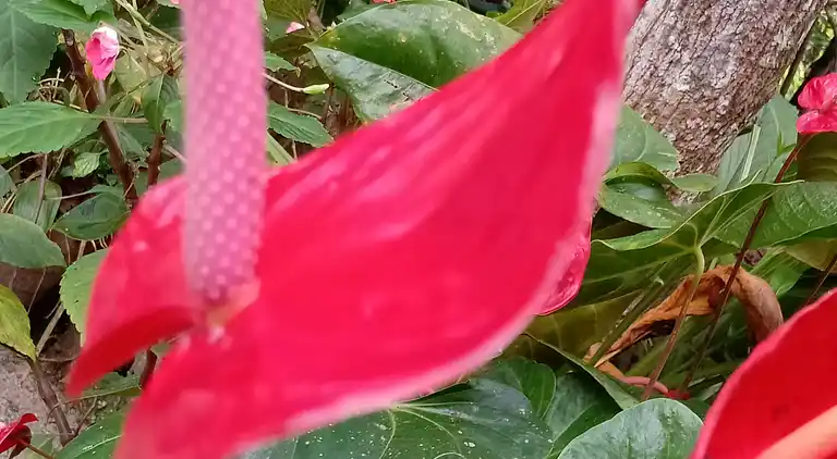 Vakantiehuis in Karachal