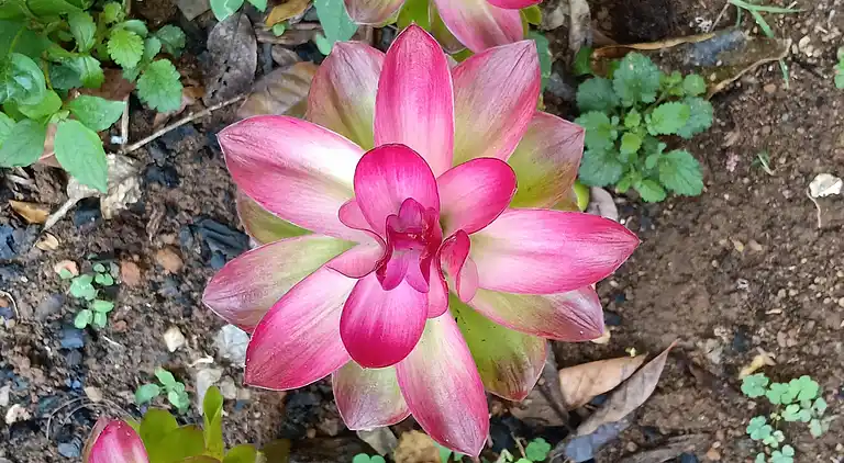 Vakantiehuis in Karachal