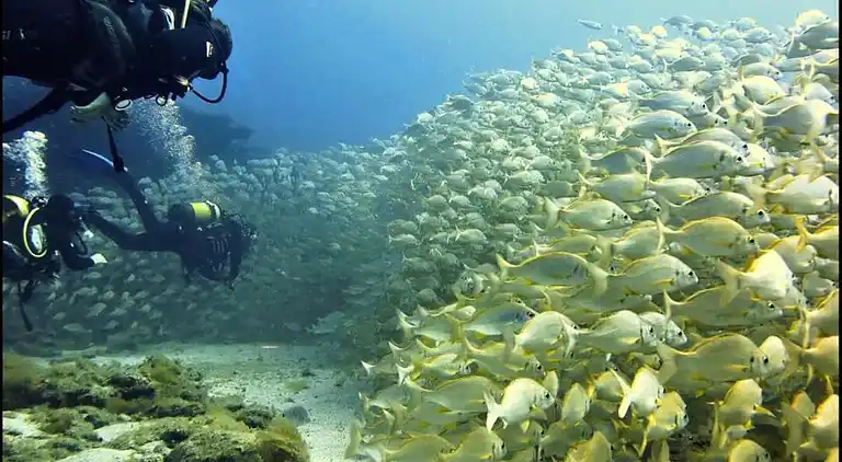 Casa Don Johan A7 Playa de Mogan