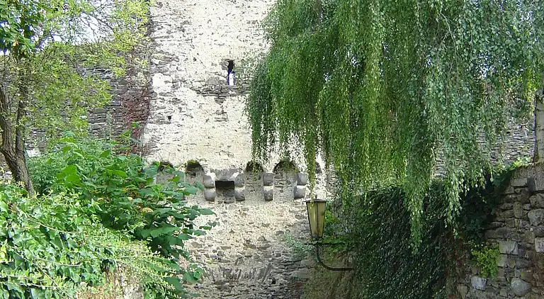 Leben über den Dächern von Cochem