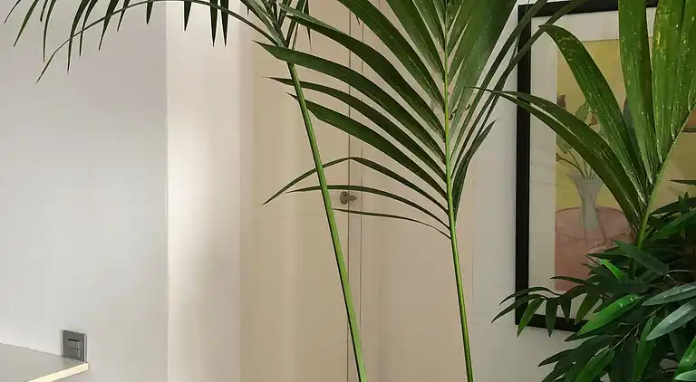 Ferielejlighed i Conil de la Frontera