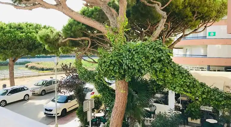 Investingspain Studio beach paradise vista mare frontale