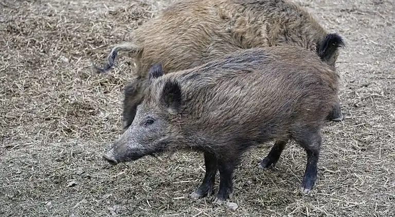 Feriebolig i Rotacker