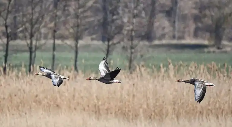 Feriebolig i Rotacker