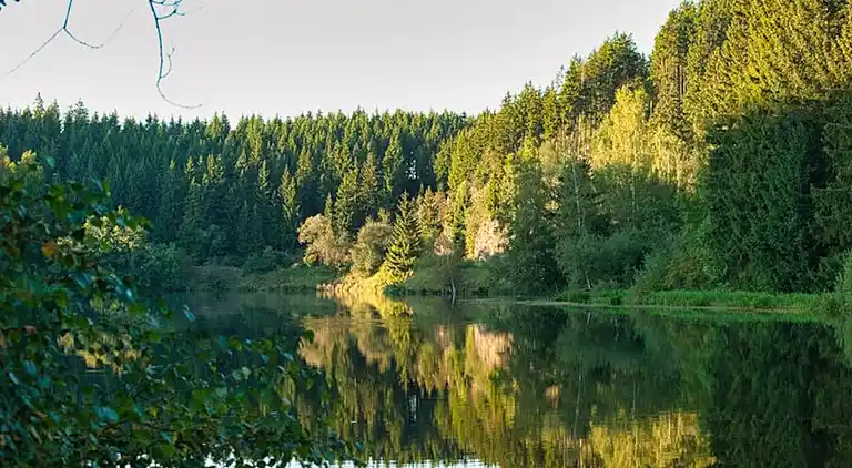 Feriebolig i Hasselfelde