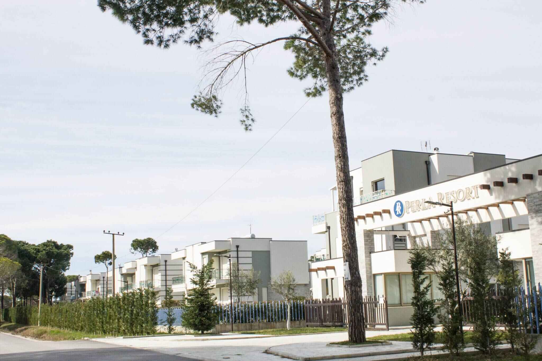 Large Image