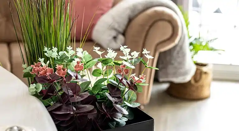 Die Escape Suite – Romantisches Haus