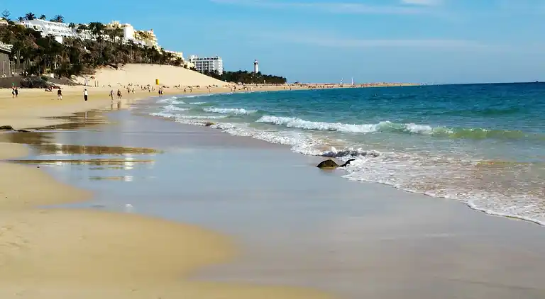 Apartments Palm Garden