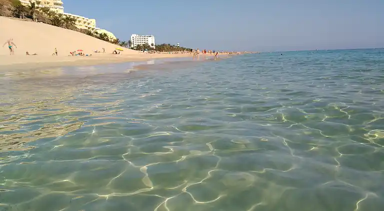 Apartments Palm Garden