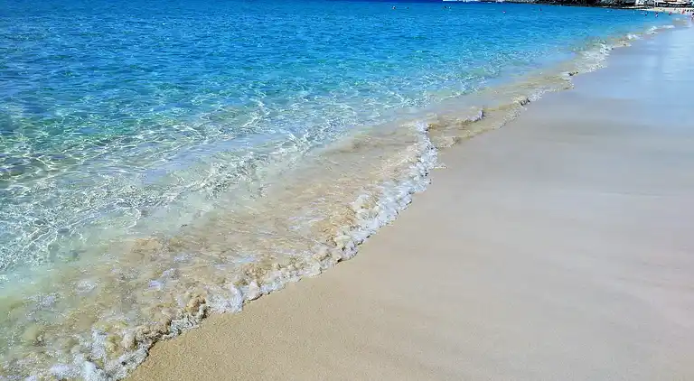 Apartments Palm Garden