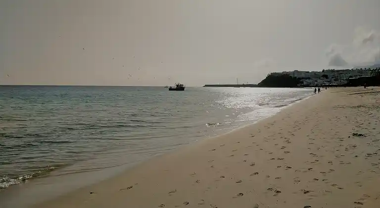 Apartments Palm Garden