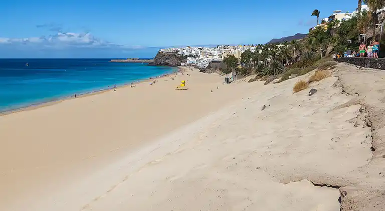 Apartments Palm Garden