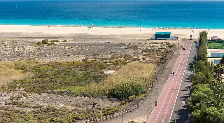 Apartments Palm Garden